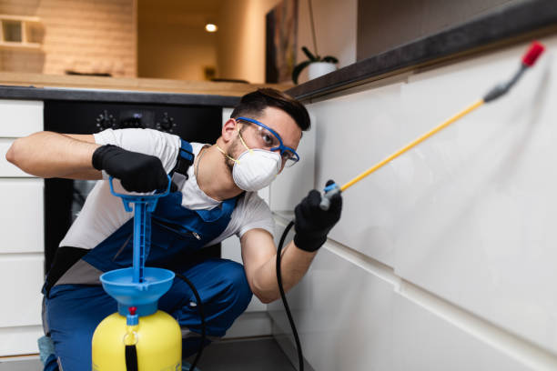 Best Residential Pest Control  in Web, AL