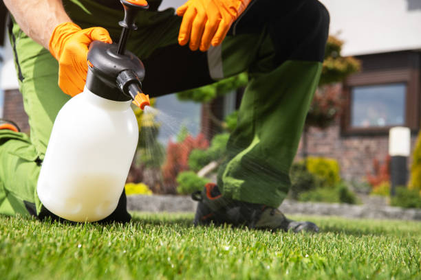 Best Flea Control Services  in Web, AL