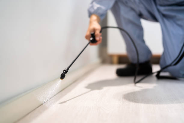 Best Pest Removal Services  in Web, AL