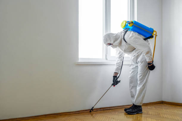Flea Control Services in Web, AL