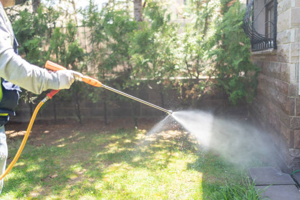 Professional Pest Control in Web, AL