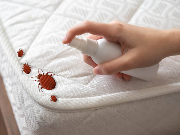 Pest Control for Restaurants in Web, AL