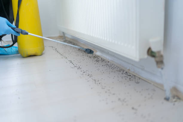 Best Residential Pest Control  in Web, AL